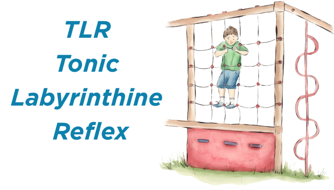 TLR Tonic Labyrinthine Reflex