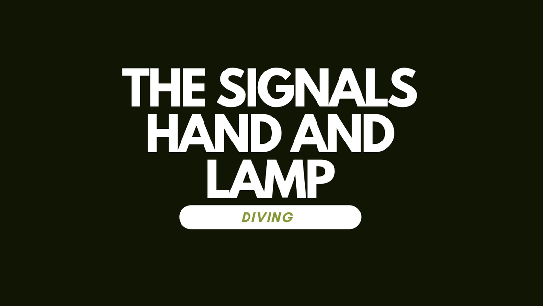 HAND, LAMP SIGNALS & MORE...