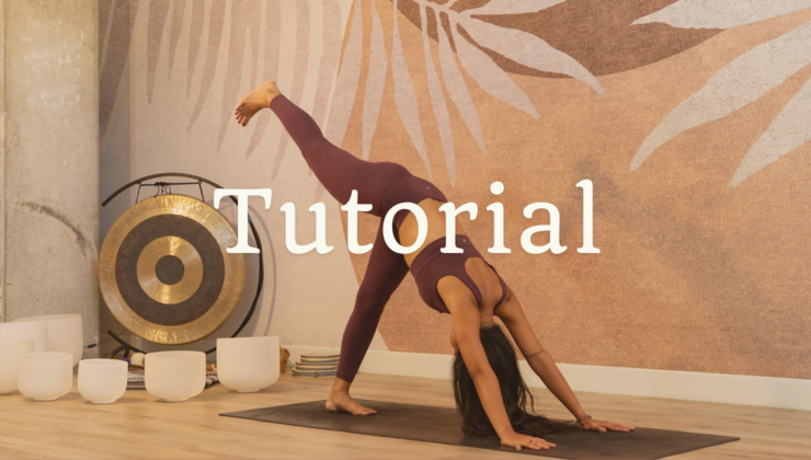 Tutorial