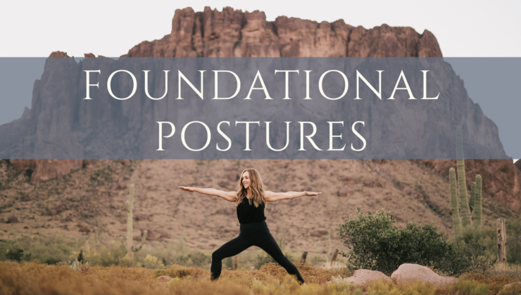 FOUNDATIONAL POSTURES Tutorials & Education