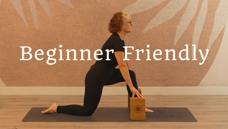 Beginner Friendly