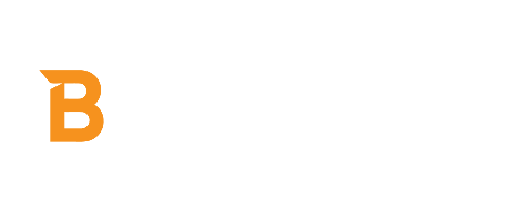 The B Stream Poster