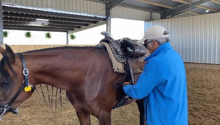 Longeing with a Saddle | Michael Byatt Equestrian Academy