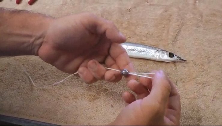 RIGGING BALLYHOO FOR WAHOO visual data 2