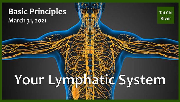 Tai Chi Basic Principles - Your Lymphatic System