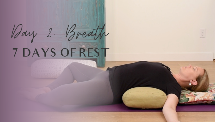 Breath | 30 min Yin Yoga | 7 Days of Rest | Yoga With Kristen