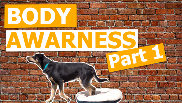 This on is surprisingly hard for some dogs!