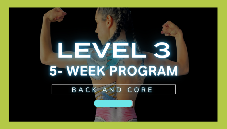Back & Core Strength Program Level 3