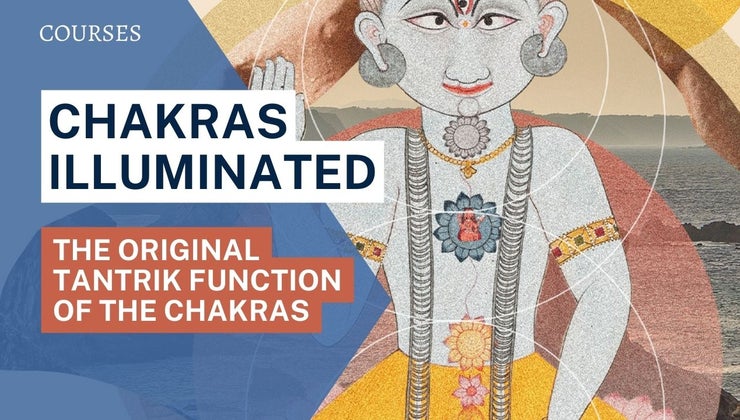 Chakras Illuminated: The Modern & Ancient Function of the C