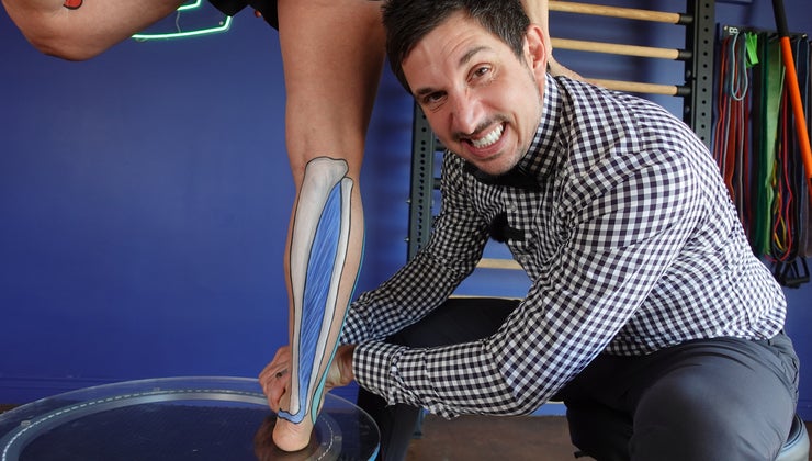 Anatomy - Fib Longus & Tib Post