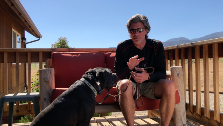 Using a Halti on a Reactive Dog