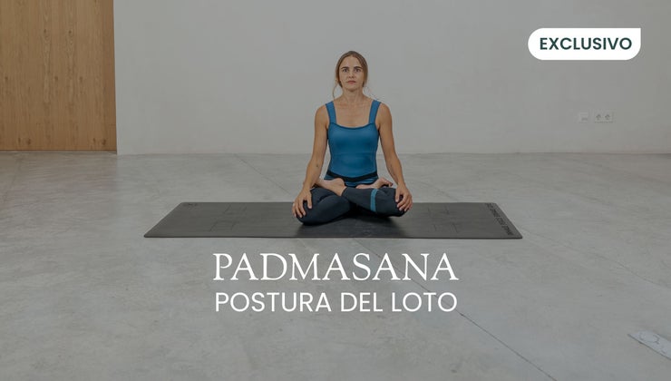 Loto Invertido Padmasana | La posición del loto