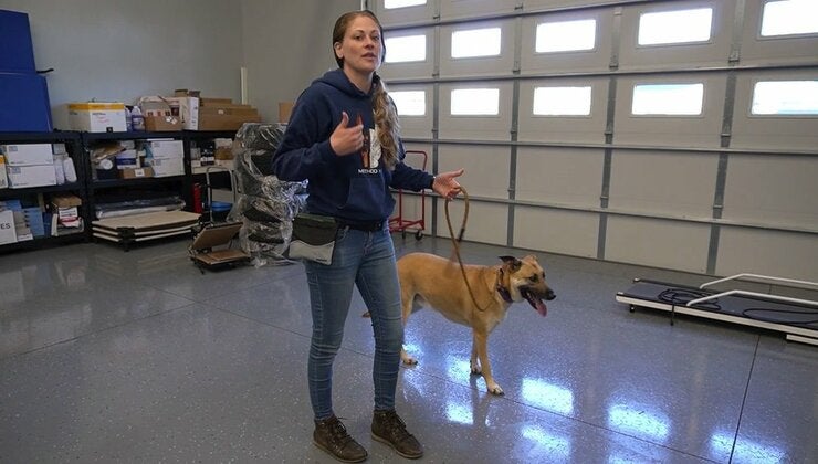How To Teach A Dog To Be Calm At Thresholds