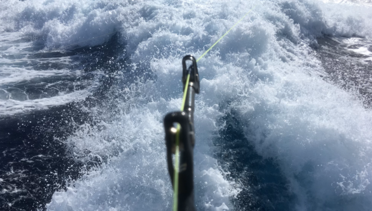 Rod Guide 2 Rod Guides: How to Choose Correctly | The Crew Platform