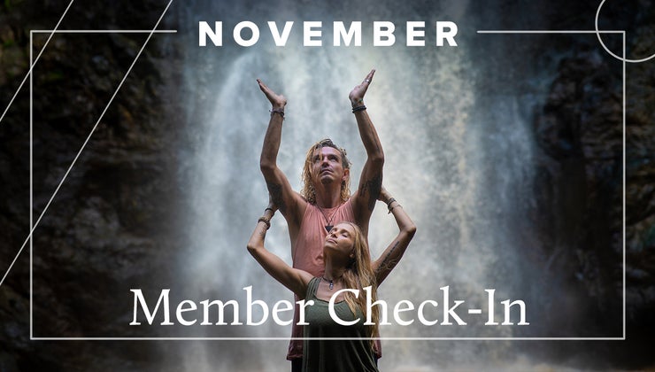 November 2022 | Members Personal Check-In