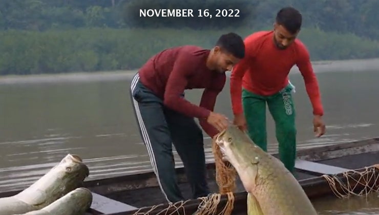 Fishy Fashion | WORLD Watch