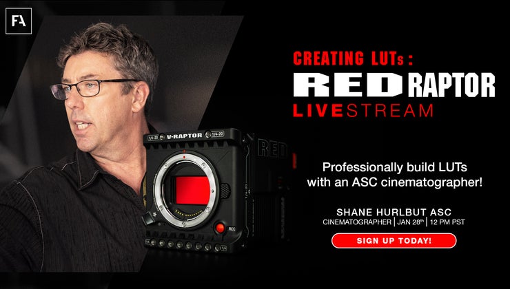 CREATING LUTS: RED RAPTOR