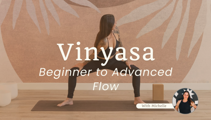 Beginner to Advanced Flow with Michelle
