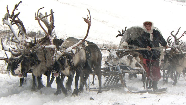 Komi A Journey Across The Arctic