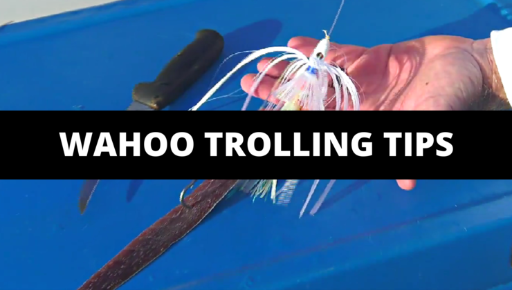 WAHOO TROLLING RIGGING visual data 4