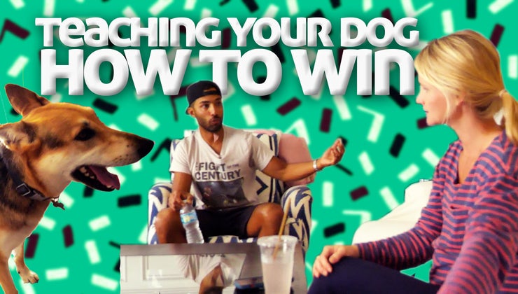 Teaching Your Dog How to Win