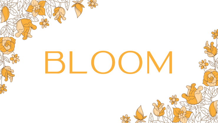 Bloom - May 2023 Collection | Find What Feels Good