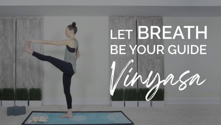 ULTIMATE BEGINNER S YOGA GUIDE VINYASA EXPERT REVEALS THE SWEET visual data 5