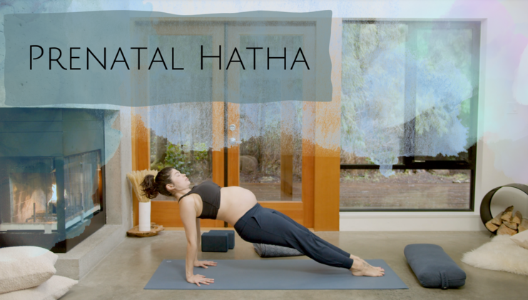 Hip Love 50 Min Prenatal Hatha