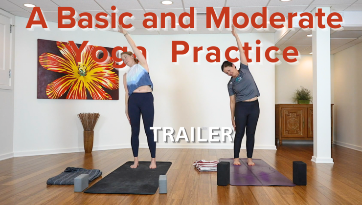 Moderate Yoga Routine A Basic And Moderate Yoga Flow Trailer | Body Of Wisdom Yoga