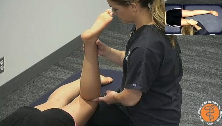 CS - Lateral Hamstring | OMT Video Library