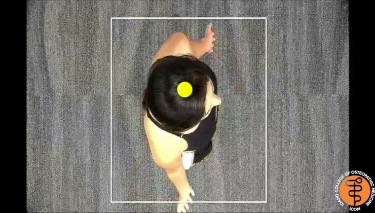 Rotation Physiologic Spinal Motion | OMT Video Library