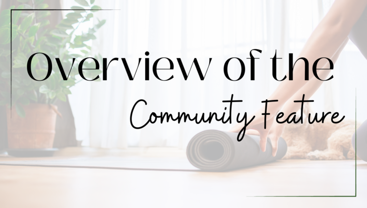 Overview of the Community Feature