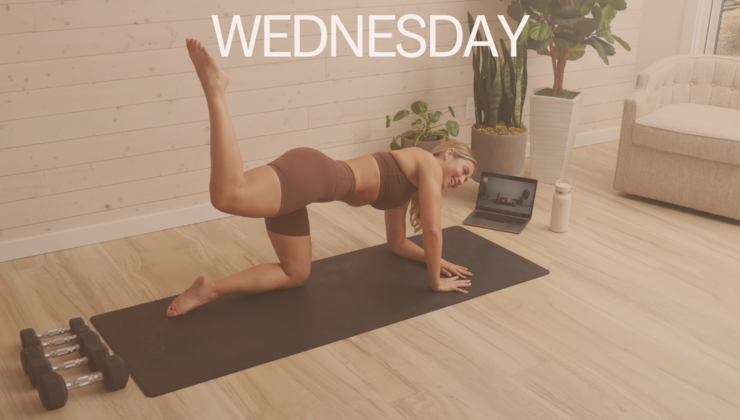 Coco Workout Routine Fit with Coco Beginner Program Week 2 Day 3 Lower Body