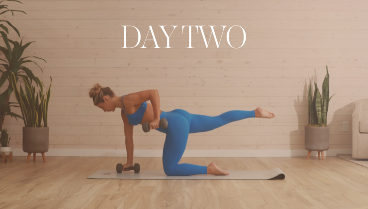 Coco Workout Routine Fit with Coco Upper Body Strength Dumbbell Workout