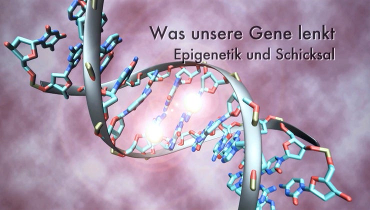 Was unsere Gene lenkt und Schicksal streaming online anschauen