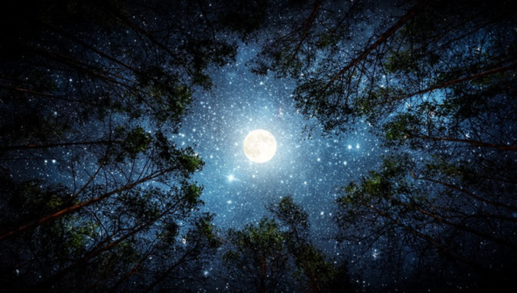 Q. Files Moon 0605 | Q Files 2.0 Email: info@qfiles.tv