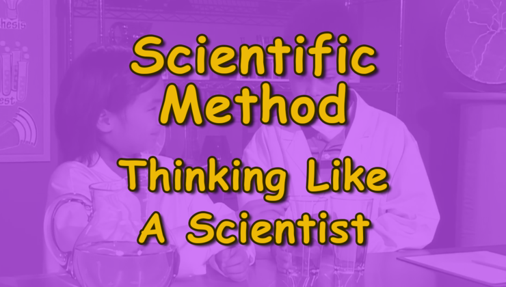 Thinking Like A Scientist: The Scientific Method | ©SchoolMedia, Inc.