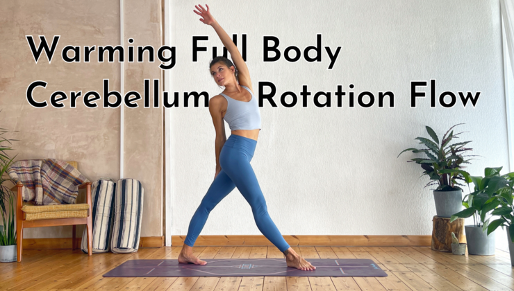 Warming Full Body Cerebellum Rotation Flow
