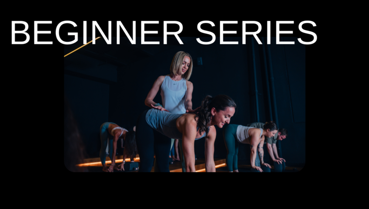 Welcome to the Beginners Series with Laura
