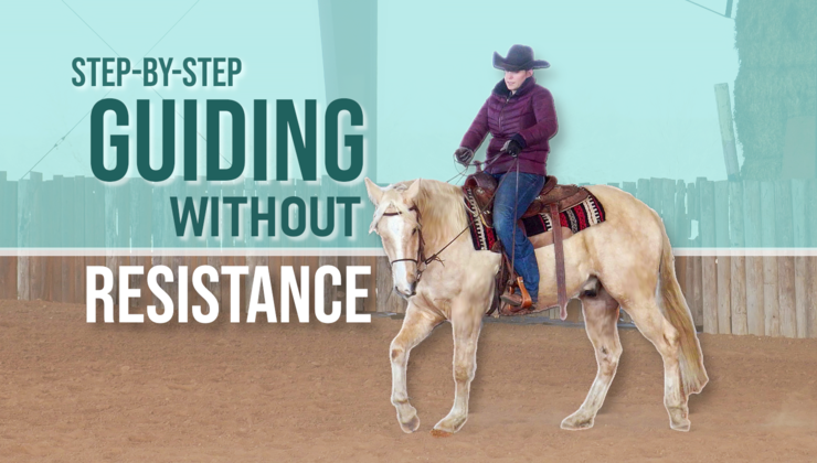 Teach your colt to steer