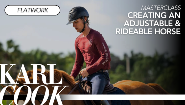 Karl Cook Barn Karl Cook Teaches Creating an Adjustable & Rideable Horse