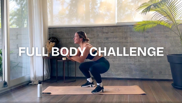 Full Body Challenge Snack