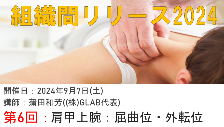 精密触診と組織間リリース (ISR) 全2巻　　　理学療法 DVD＞エコーで検証しつつ学ぶ「精密触診」と「組織間リリース