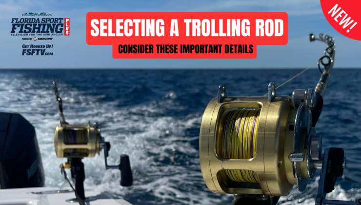Trolling Rod Selection action sailfish dolphin chaos rods florida ...