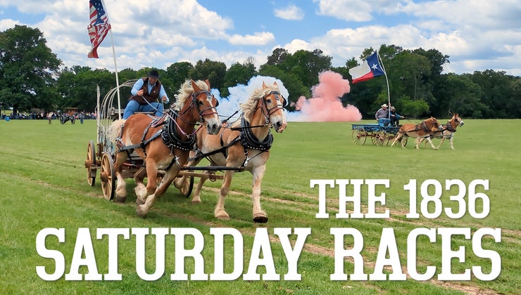 Saturday Races Saturday Races 2024 - The 1836