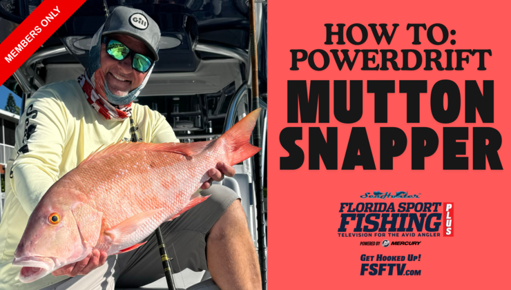 powerdrifting for mutton snapper live pinfish florida keys fishing videos