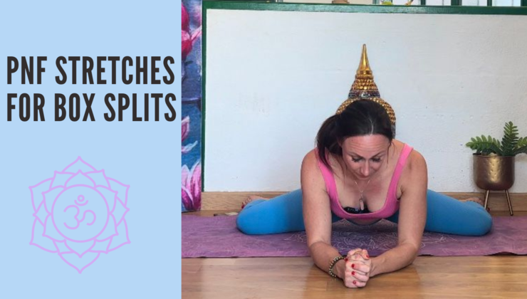 PNF stretches for Box Splits | Align