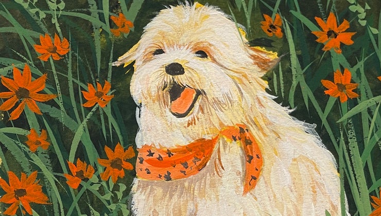 introduction-to-gouache-animal-painting