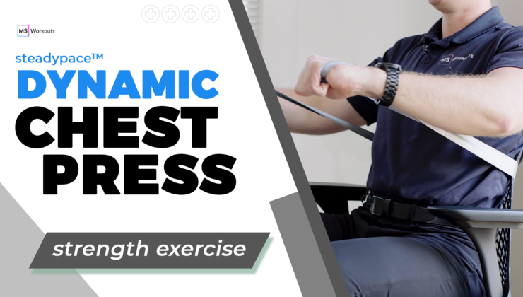 Chest Press (Dynamic)