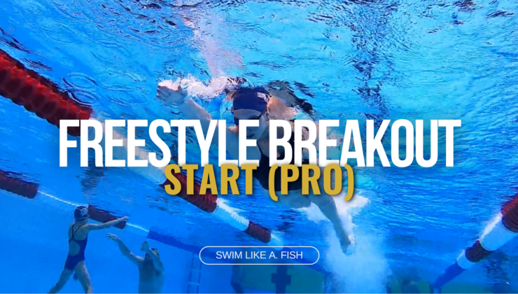 Pro Starting Start: Freestyle Breakout (Pro)